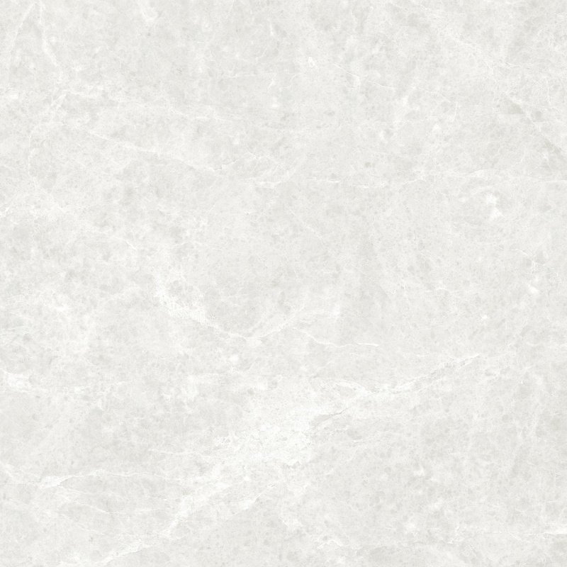 3036
